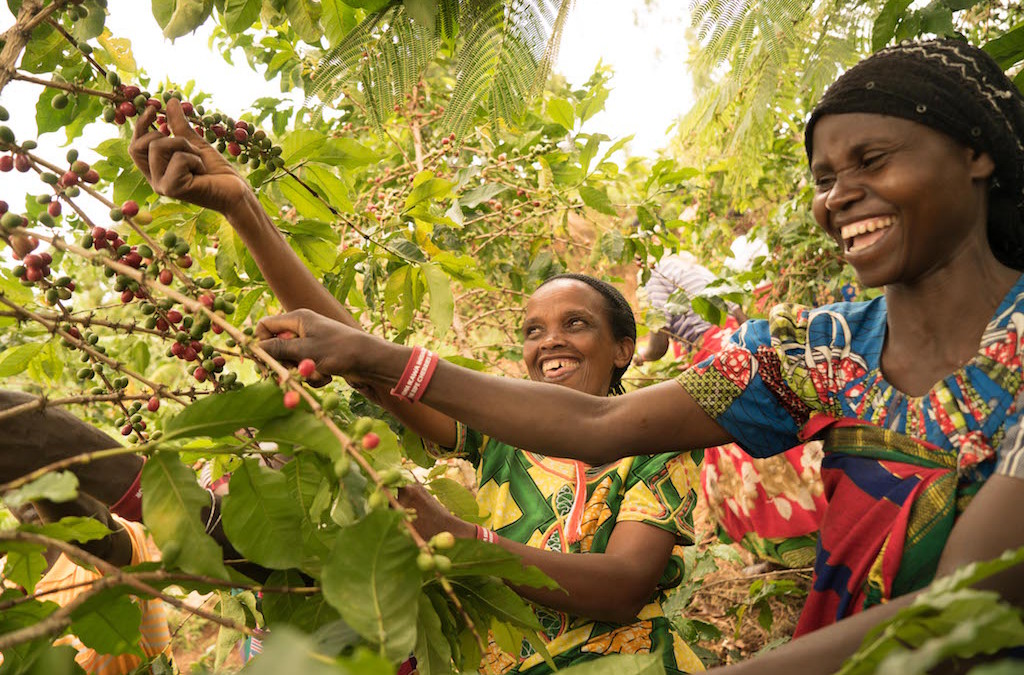 Let’s Talk Coffee® Best of Rwanda to unite supply chain this week