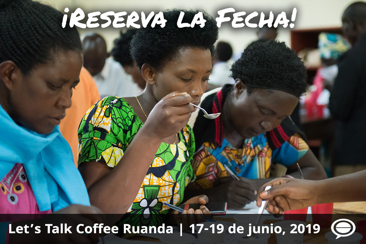 Let's Talk Coffee Rwanda 2019