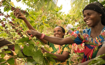 Let’s Talk Coffee® Best of Rwanda to unite supply chain this week