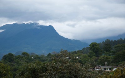 Let’s Talk Coffee®: Exploring Mexico’s Coffee History